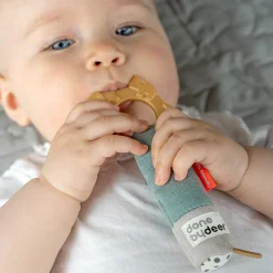 Coffret de naissance - Deer friends - Vert