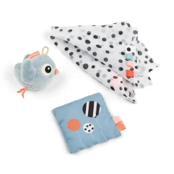 Coffret de petits jouets d'éveil - Birdee - Bleu